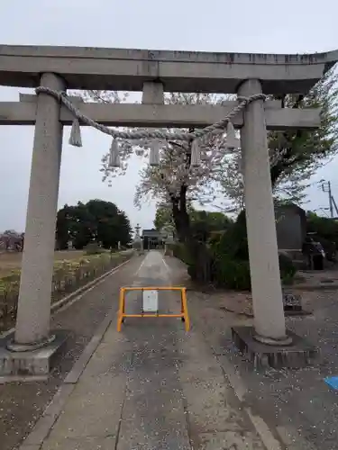 諏訪神社の鳥居