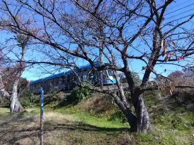 琵琶神社(福井県)