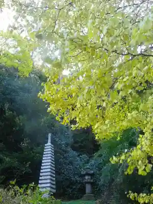 安國論寺（安国論寺）の塔