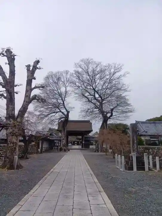 曼陀羅寺(愛知県)