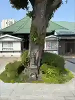 東光寺(東京都)