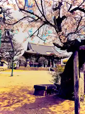 慈恩寺のその他建物