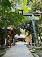 平塚八幡宮(神奈川県)