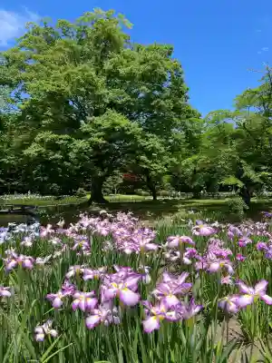 伊佐須美神社(福島県)
