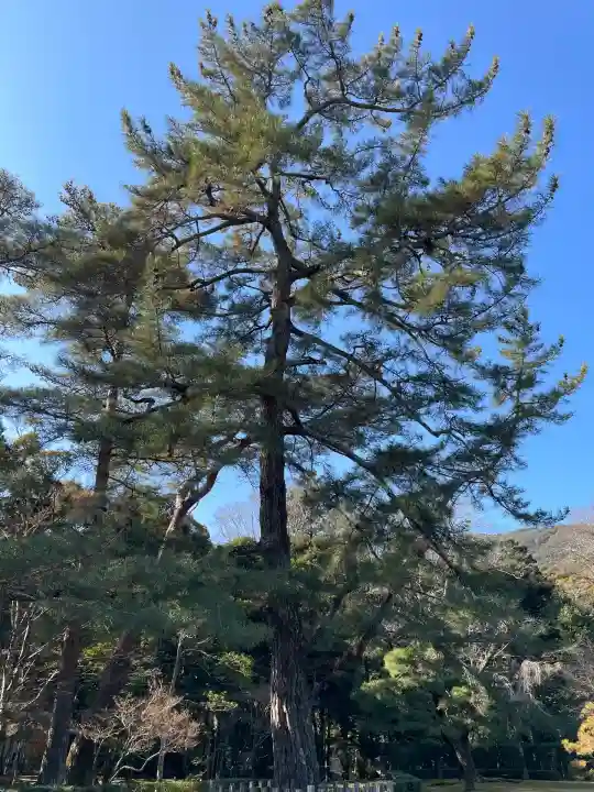 伊勢神宮内宮(皇大神宮)(三重県)