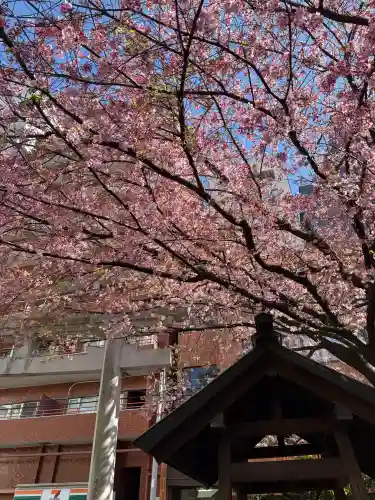蔵前神社(東京都)
