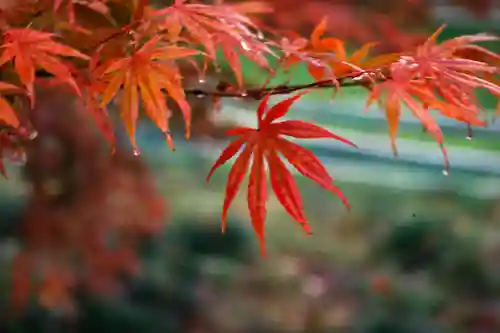 蚊里田八幡宮(長野県)