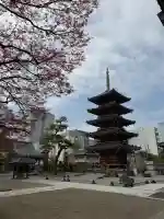 孝勝寺の{uncategorized: "未分類", other: "その他", undefined: "問題あり", building: "その他建物", grave: "お墓", sacred_gate: "鳥居", guardian: "狛犬", statue: "像", buddha: "仏像", history: "歴史", nature: "自然", garden: "庭園", animal: "動物", pagoda: "塔", temizu: "手水舎", mountain_gate: "山門・神門", sanctuary: "本殿・本堂", subordinate: "末社・摂社", art: "芸術", scenery: "景色", jizo: "地蔵", ema: "絵馬", goshuin: "御朱印", omikuji: "おみくじ", items: "授与品その他", amulet: "お守り", goshuincho: "御朱印帳", eats: "食事", festival: "お祭り", votive_dance: "神楽", shichigosan: "七五三参", wedding: "結婚式", experience: "体験その他", initially: "初詣", around: "周辺", anti_infection: "感染症対策"}