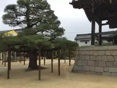 本福寺(滋賀県)