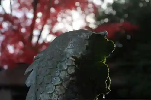 神炊館神社 ⁂奥州須賀川総鎮守⁂の手水舎