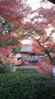 法隆寺のその他建物