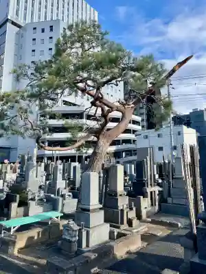 安楽寺の{uncategorized: "未分類", other: "その他", undefined: "問題あり", building: "その他建物", grave: "お墓", sacred_gate: "鳥居", guardian: "狛犬", statue: "像", buddha: "仏像", history: "歴史", nature: "自然", garden: "庭園", animal: "動物", pagoda: "塔", temizu: "手水舎", mountain_gate: "山門・神門", sanctuary: "本殿・本堂", subordinate: "末社・摂社", art: "芸術", scenery: "景色", jizo: "地蔵", ema: "絵馬", goshuin: "御朱印", omikuji: "おみくじ", items: "授与品その他", amulet: "お守り", goshuincho: "御朱印帳", eats: "食事", festival: "お祭り", votive_dance: "神楽", shichigosan: "七五三参", wedding: "結婚式", experience: "体験その他", initially: "初詣", around: "周辺", anti_infection: "感染症対策"}