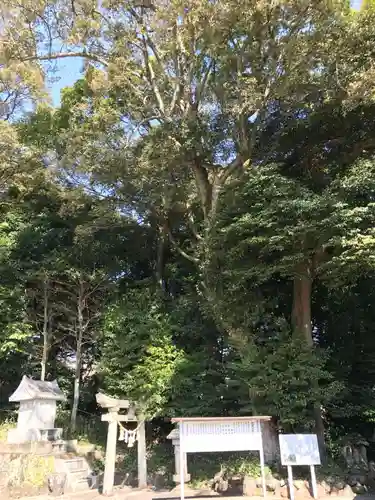 火男火賣神社（下宮）(大分県)