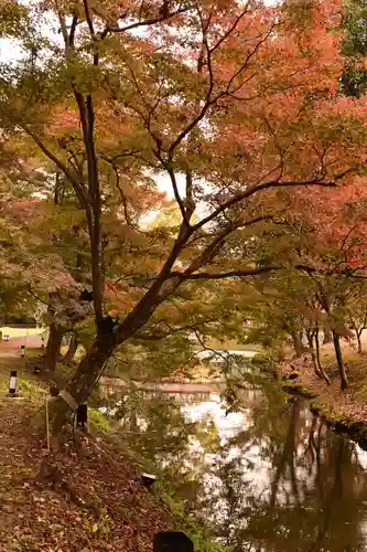 大覚寺(京都府)