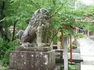 山口八幡宮の狛犬