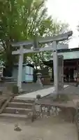 熊野福藏神社の鳥居