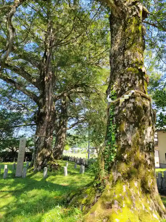 磯宮八幡神社(兵庫県)