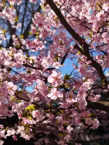 小野照崎神社(東京都)