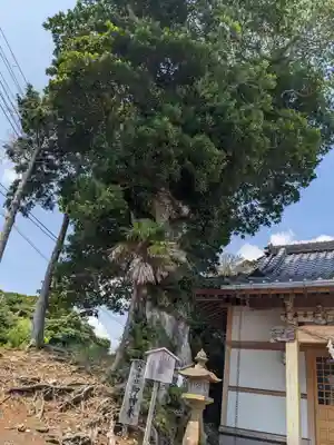 八幡神社(千葉県)