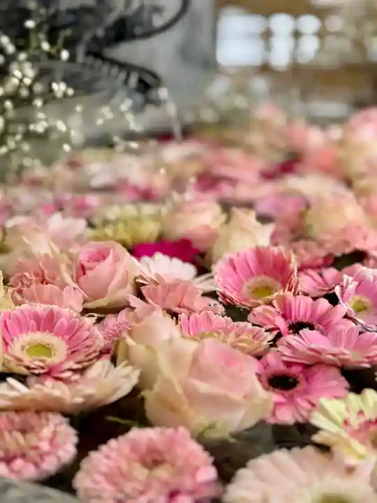 札幌諏訪神社(北海道)