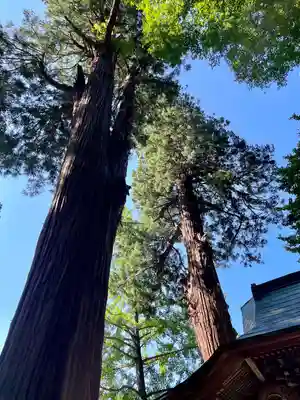 厳島神社（嚴島神社）(福島県)