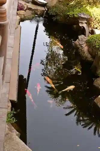 祥雲寺(愛媛県)