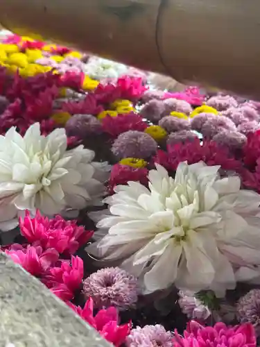 群馬県護国神社(群馬県)