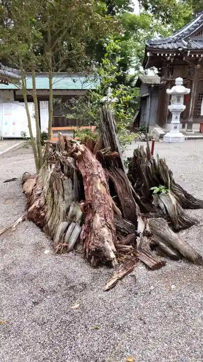 賀茂神社の自然
