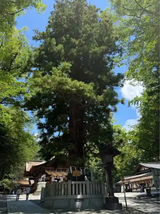 諏訪大社下社秋宮(長野県)