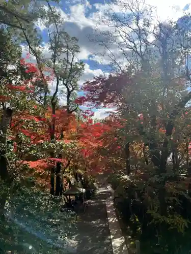 神峯山寺(大阪府)