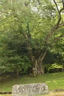 御所神社(徳島県)