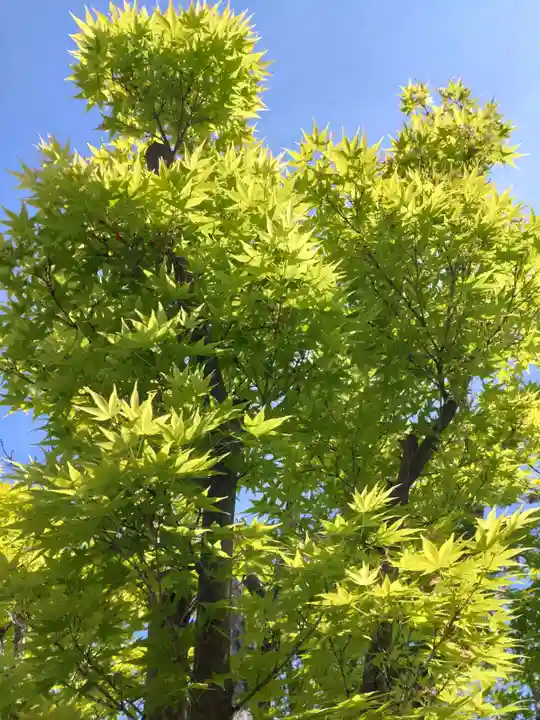寿量山 速成寺(奈良県)