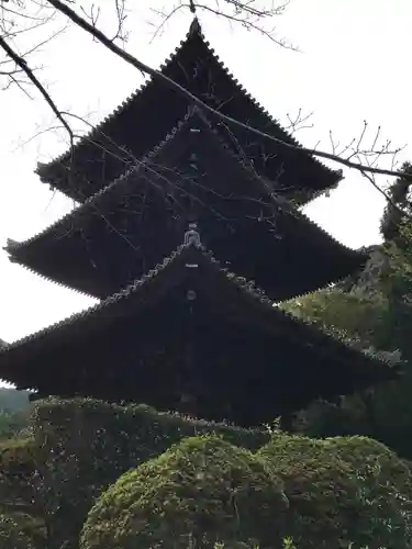園城寺（三井寺）のその他建物