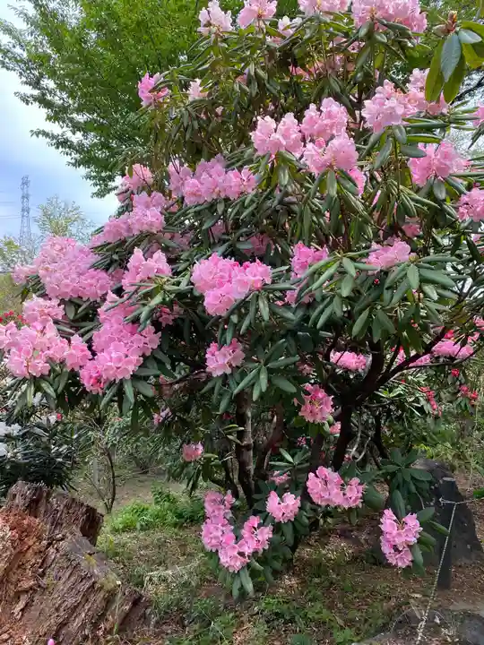 赤城大教会赤城寺の自然