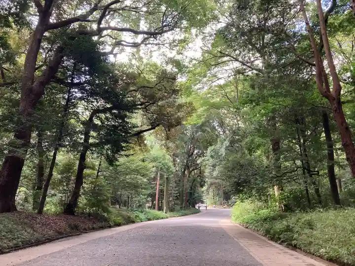 明治神宮(東京都)