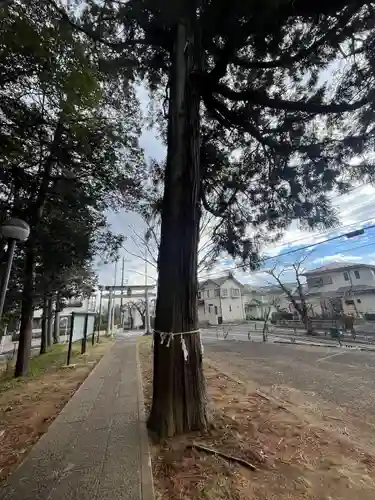 白鳥神社(神奈川県)