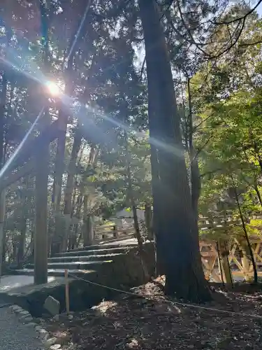 伊勢神宮内宮（皇大神宮）の{uncategorized: "未分類", other: "その他", undefined: "問題あり", building: "その他建物", grave: "お墓", sacred_gate: "鳥居", guardian: "狛犬", statue: "像", buddha: "仏像", history: "歴史", nature: "自然", garden: "庭園", animal: "動物", pagoda: "塔", temizu: "手水舎", mountain_gate: "山門・神門", sanctuary: "本殿・本堂", subordinate: "末社・摂社", art: "芸術", scenery: "景色", jizo: "地蔵", ema: "絵馬", goshuin: "御朱印", omikuji: "おみくじ", items: "授与品その他", amulet: "お守り", goshuincho: "御朱印帳", eats: "食事", festival: "お祭り", votive_dance: "神楽", shichigosan: "七五三参", wedding: "結婚式", experience: "体験その他", initially: "初詣", around: "周辺", anti_infection: "感染症対策"}