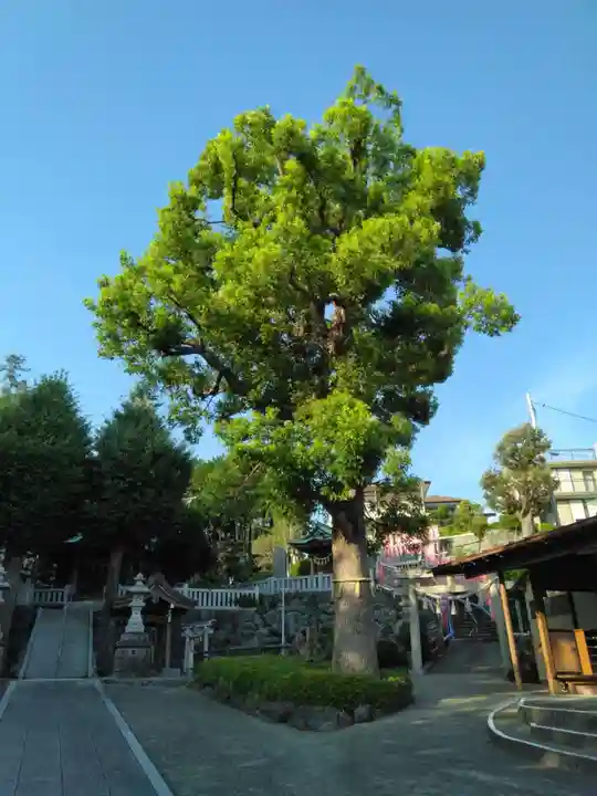 亀井神社(神奈川県)