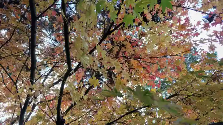 霊源院(京都府)