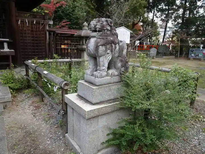 新熊野神社の狛犬
