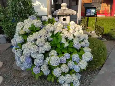 大久保山 自性院(神奈川県)