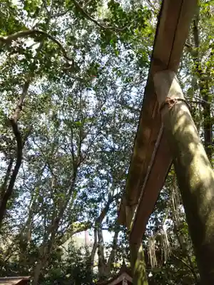 八大龍王水神(宮崎県)