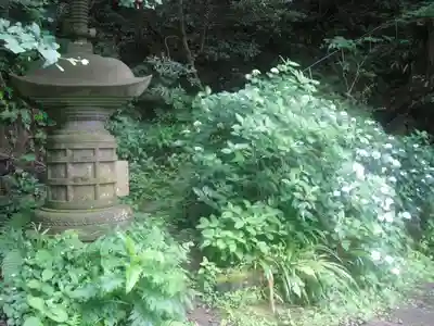 安國論寺（安国論寺）の塔