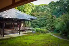 隨心院（随心院）(京都府)