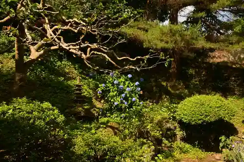 西福寺(徳島県)