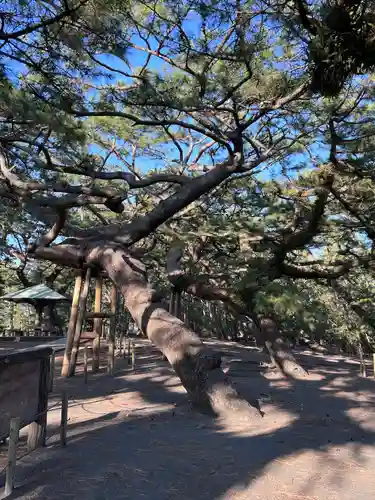 御穂神社(静岡県)
