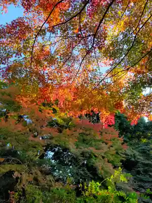 不退寺(奈良県)