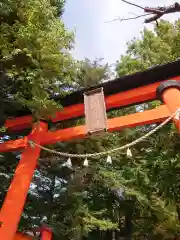 新倉富士浅間神社の鳥居