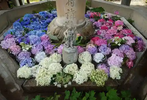 三室戸寺(京都府)