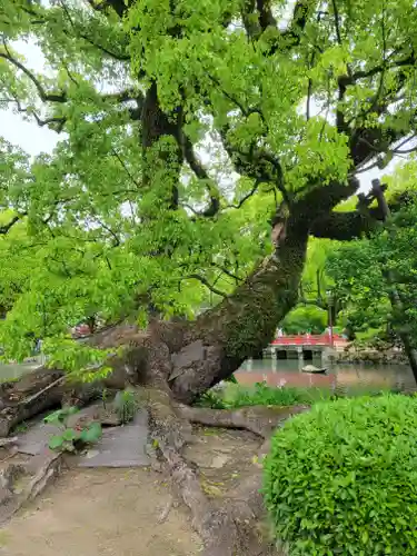 太宰府天満宮(福岡県)